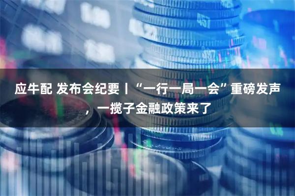 应牛配 发布会纪要丨“一行一局一会”重磅发声，一揽子金融政策来了