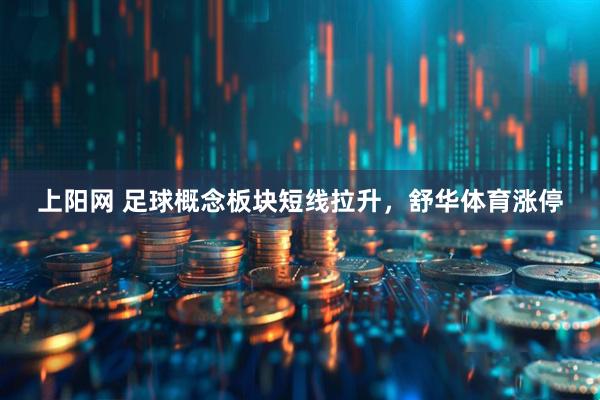 上阳网 足球概念板块短线拉升，舒华体育涨停